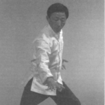 Master Park performing Po Zhang
